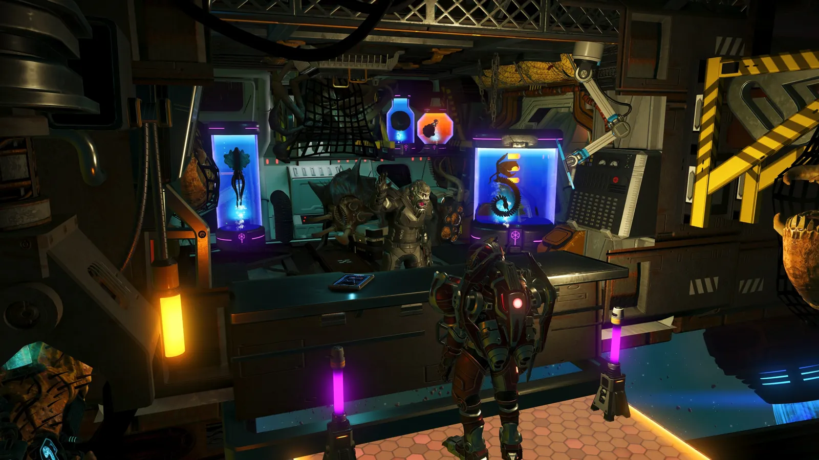 Forsaken traders and unusual specimens inside a corvette